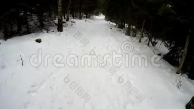 <strong>北欧漫步</strong>在深冬森林，头上戴着相机